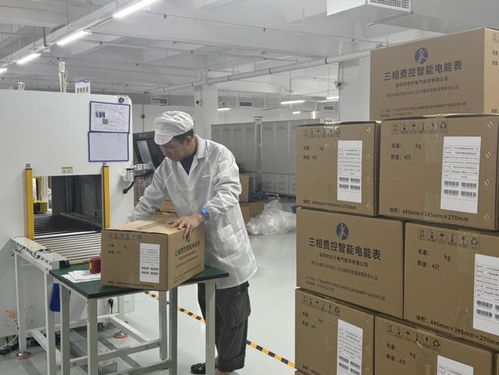 智能電表行業(yè)迎來發(fā)展新契機(jī) 技術(shù)革新與市場需求雙輪驅(qū)動(dòng)計(jì)量技術(shù)服務(wù)升級